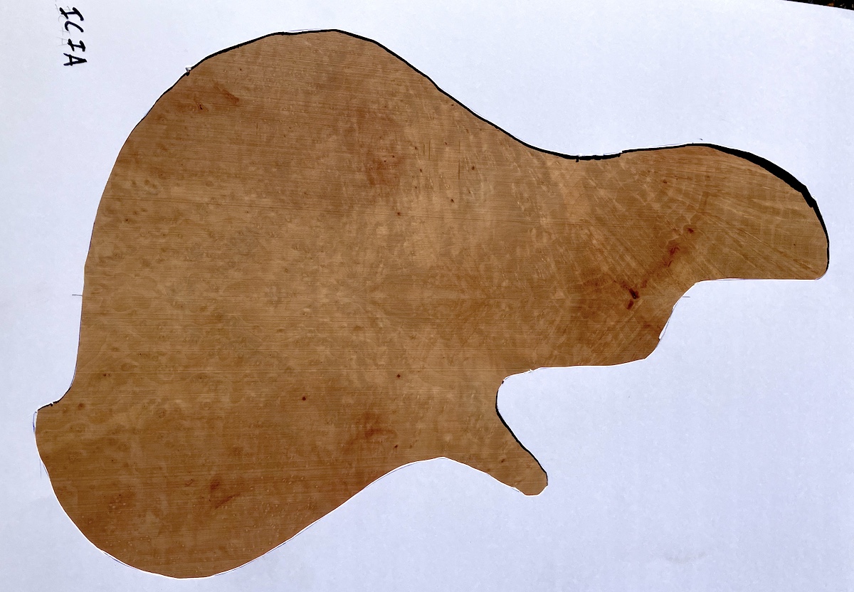 1-25-26-Madrone-Burl-Felicia