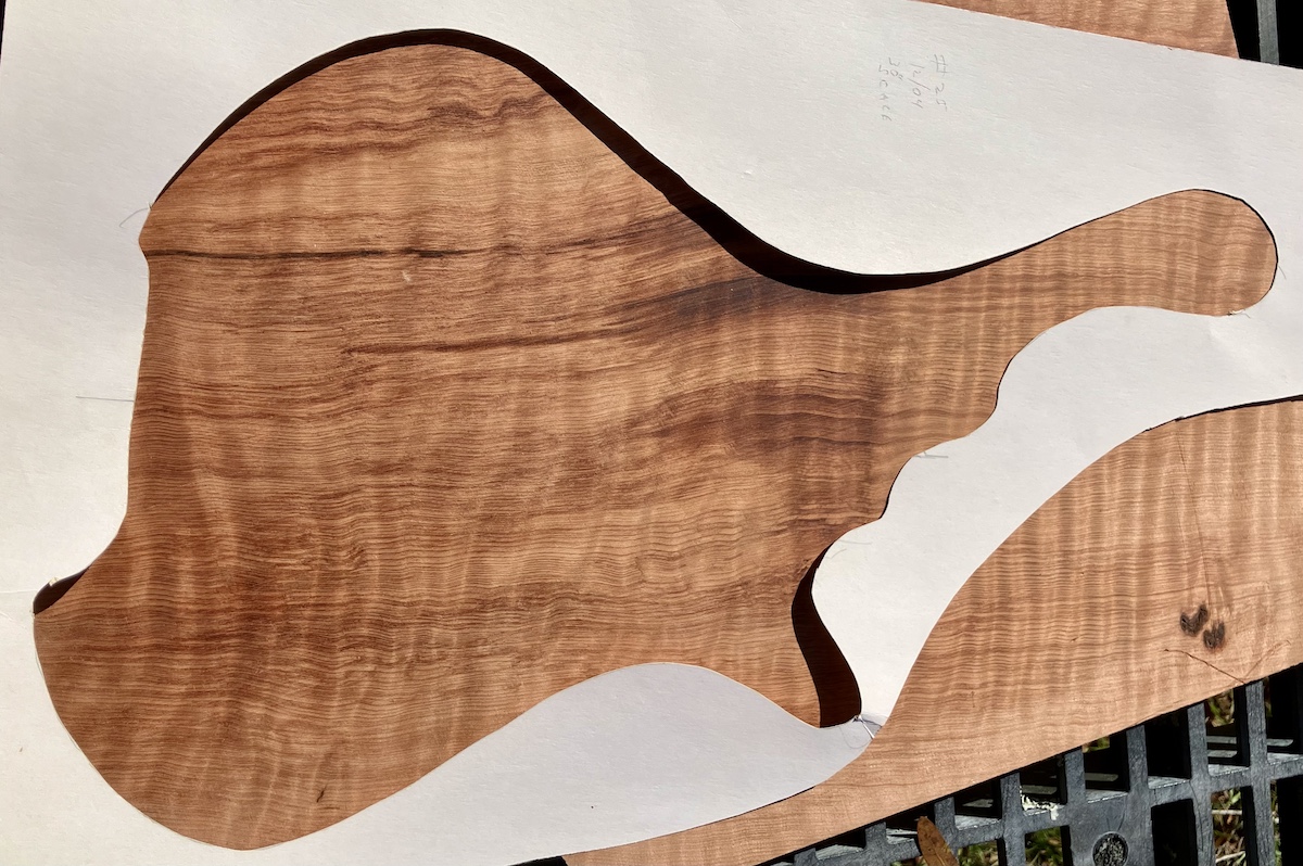 2-26-25-Curly-Redwood-Alto