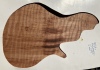 2-26-25-Curly-Redwood-Jon