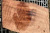 2-26-25-Curly-Redwood-Naptha