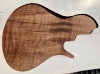 2-26-25-Curly-Redwood-Ryan