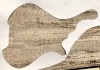 4-17-23-Spalted-Quilt-Maple-Alto