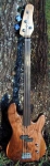 Clement P-type #014
