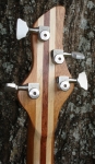 2507-back-headstock