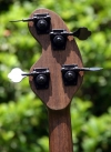 98 headstock rear