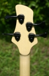 113 headstock back