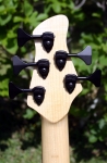 143 headstock rear