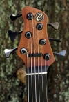 162 headstock front shade
