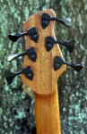 162 headstock rear shade