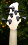 165 headstock rear