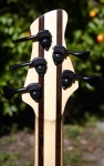 167 headstock rear