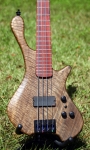 171 body front