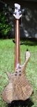 171 full rear