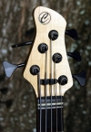 177 headstock front