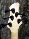 177 headstock rear