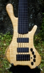 185 body front