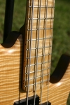 204 fretboard