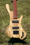 209 body front