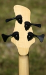 209 headstock rear
