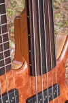 211 fretless side dots