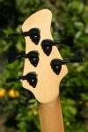 213 headstock rear