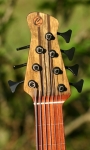 224 headstock front