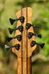 224 headstock rear