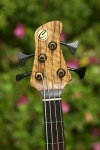 227 headstock front