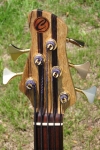 233 headstock front