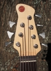 256 headstock front