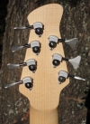 256 headstock rear