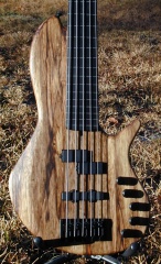 Clement #261