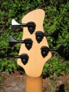 284 headstock rear