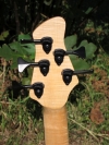 287 headstock rear