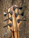 289 headstock rear