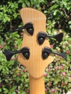 293 headstock rear