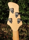 296 headstock rear