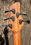 297 headstock rear