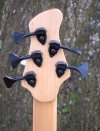 299 headstock rear