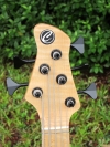 309 headstock front