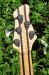 311 headstock rear a