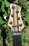 313 headstock front