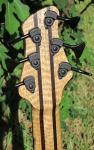 313 headstock rear