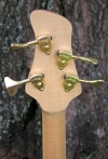 315 headstock rear