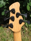 317 headstock rear