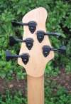 320 headstock rear