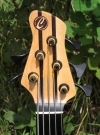 321 headstock front