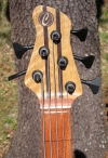 330 headstock front