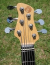 335 headstock front.jpg