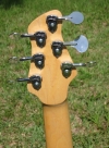 335 headstock rear.jpg